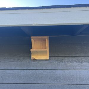 swallow nest box
